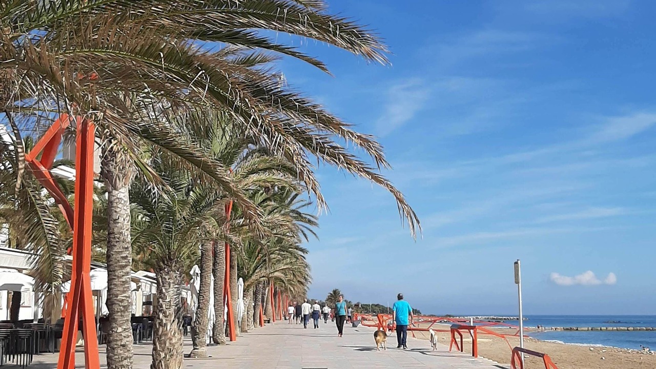 Photo of Others in San Jorge