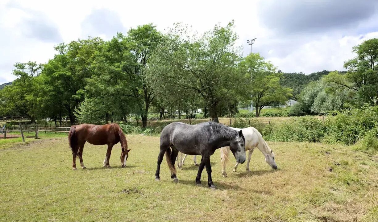 Photo of Others in Saverne