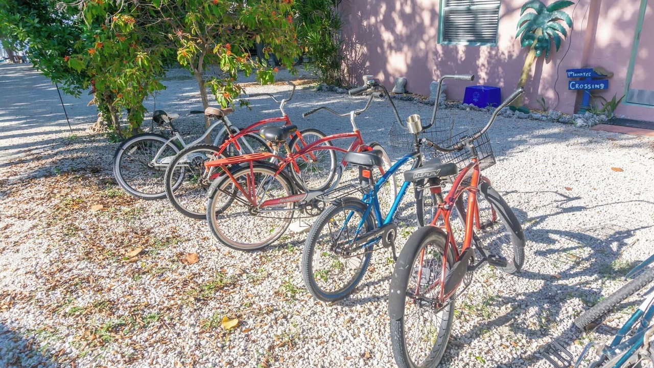 Photo of Outdoor in Key Largo