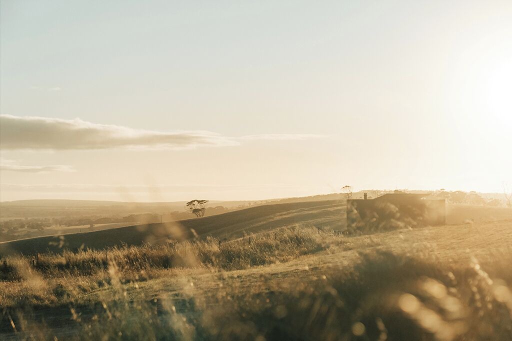 Photo of Bedroom in Duncan