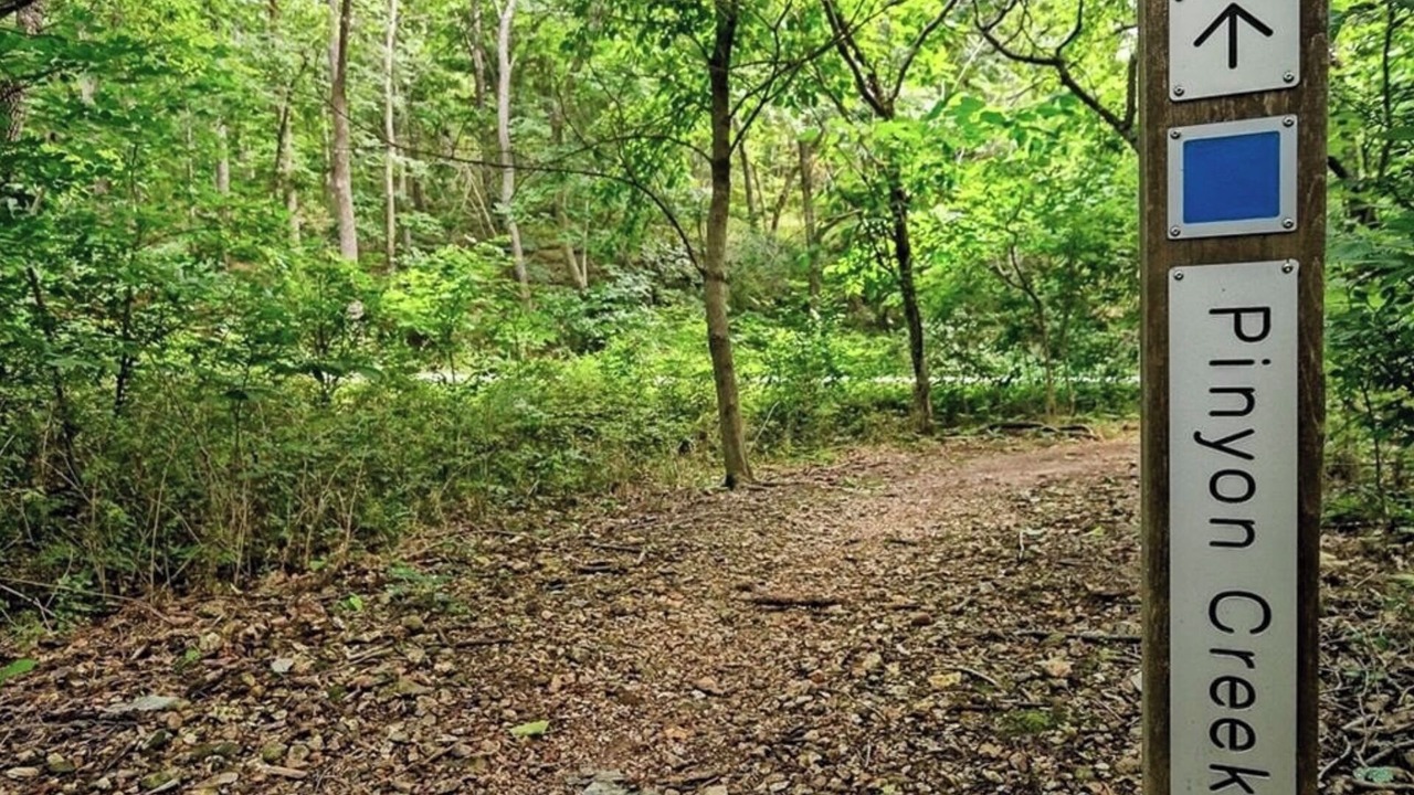 Photo of Outdoor in Bella Vista
