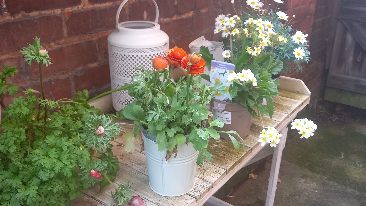 Photo of Outdoor in Hampton Wick