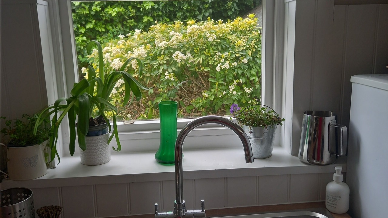 Photo of Others in Hampton Wick