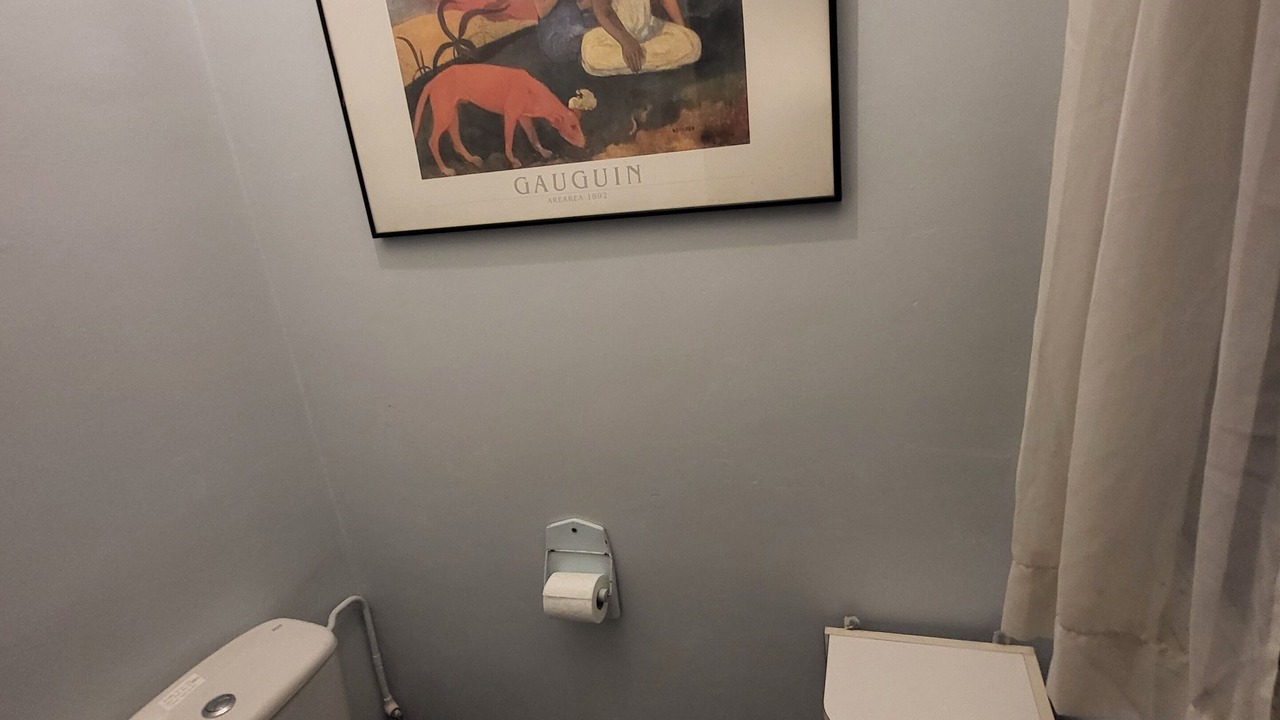 Photo of Bathroom in Tourailles