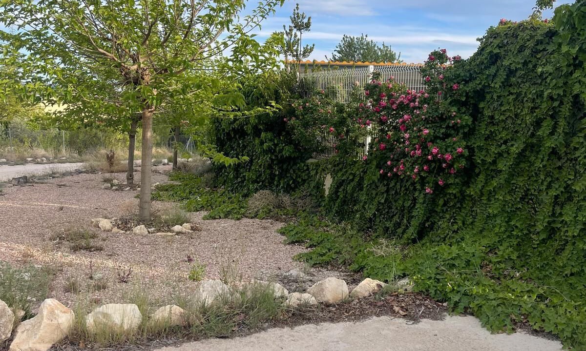 Photo of Outdoor in Caravaca de la Cruz