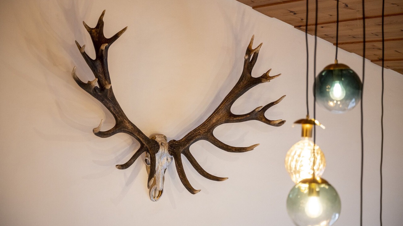Photo of Others in Engadin Scoul