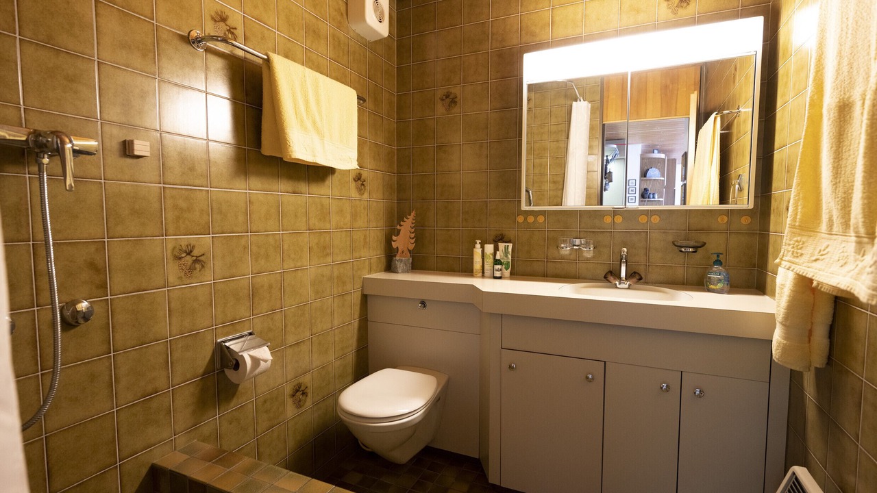 Photo of Bathroom in Engadin Scoul