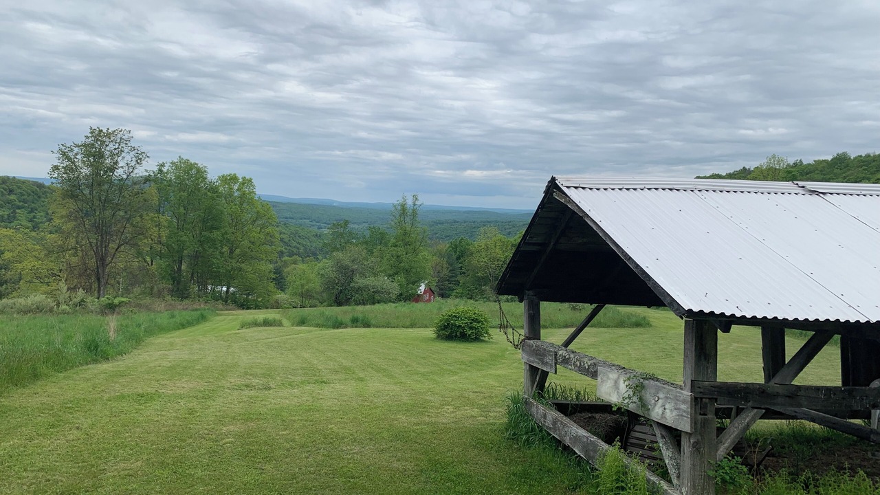 Photo of Outdoor in Oliverea