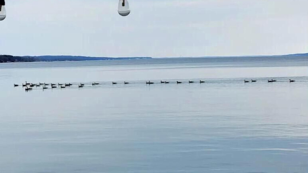 Photo of Others in Town of Torrey