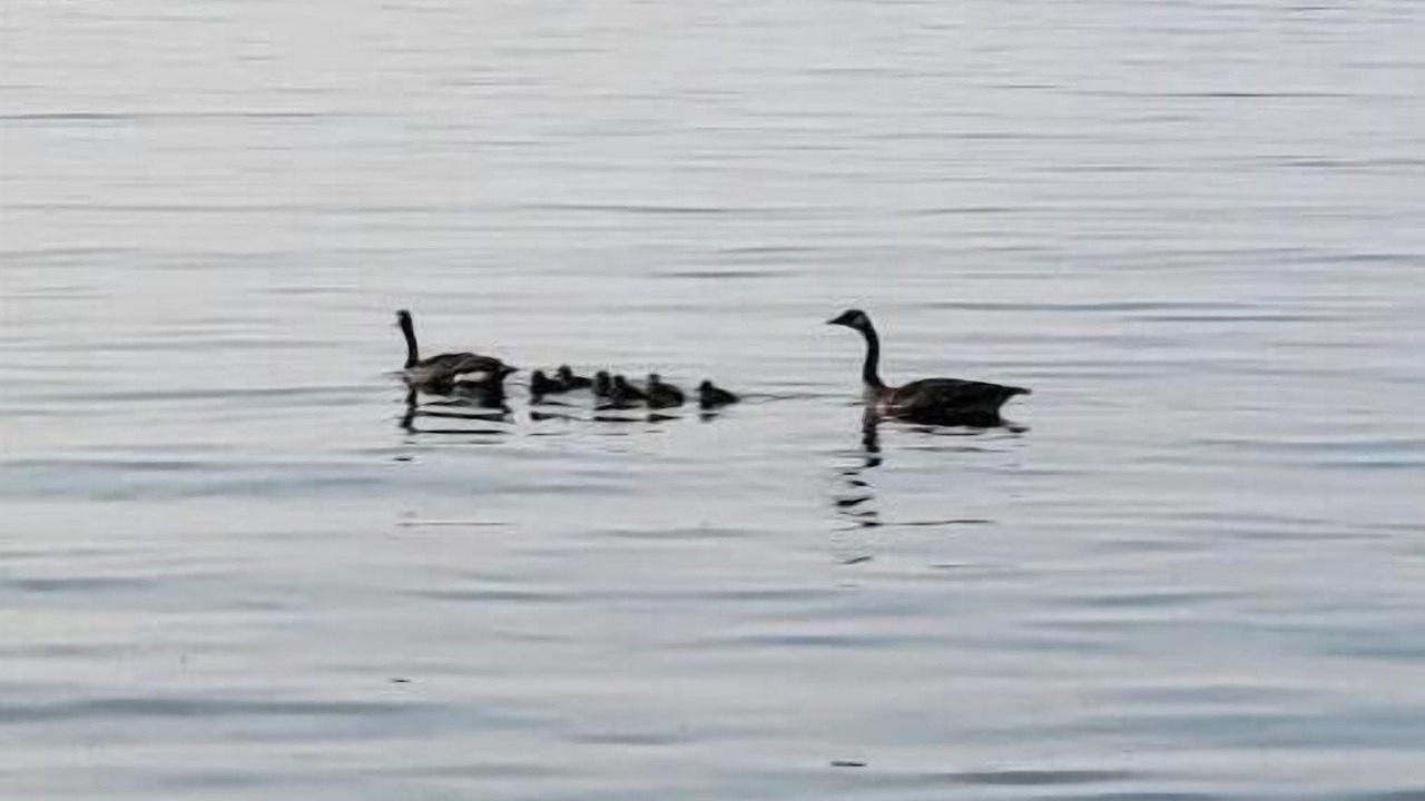 Photo of Others in Town of Torrey