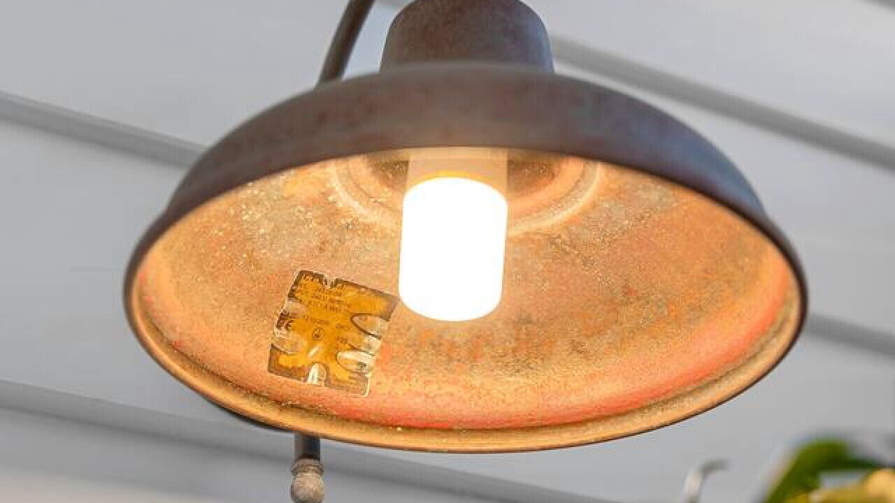 Photo of Others in Long Jetty