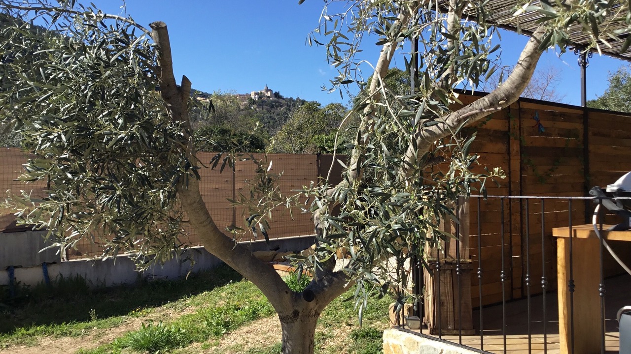 Photo of Outdoor in Sollies Pont