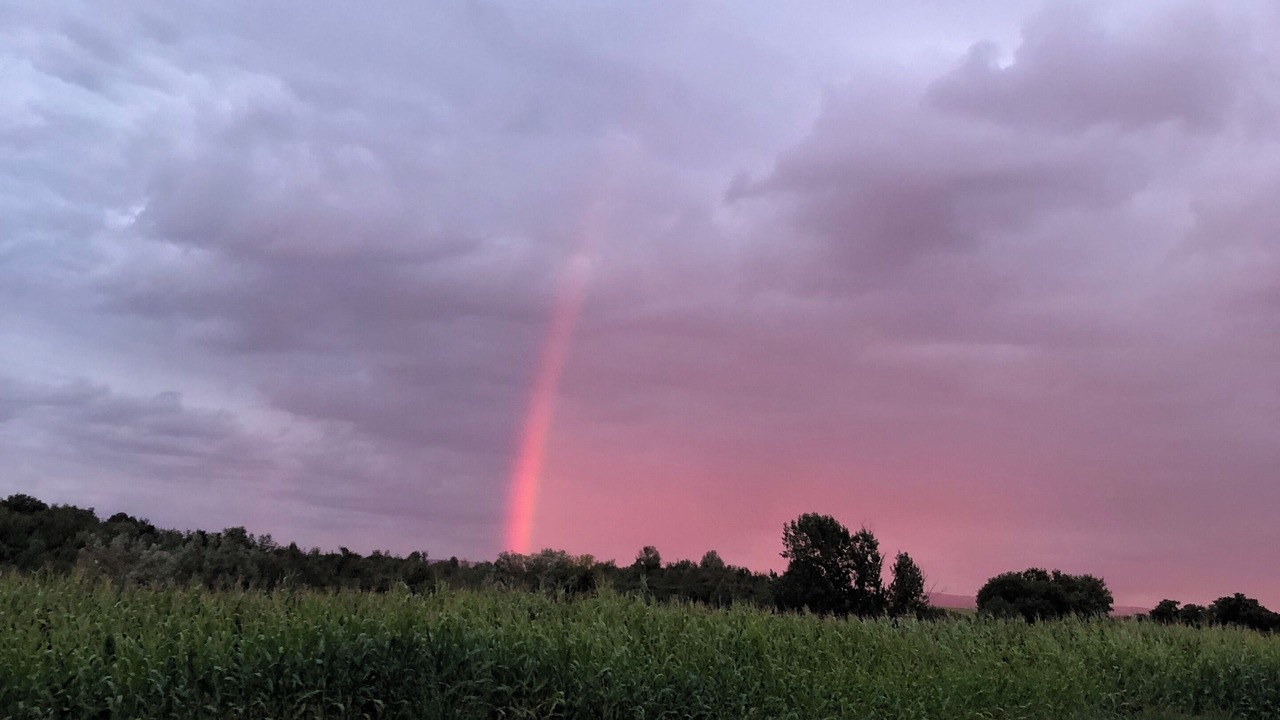 Photo of Others in Franklin Springs