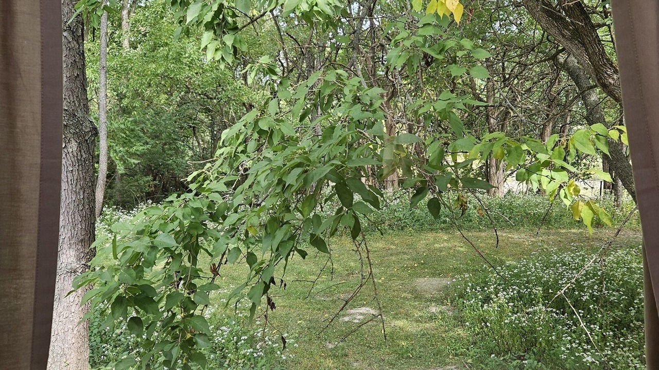 Photo of Others in Orange Prairie