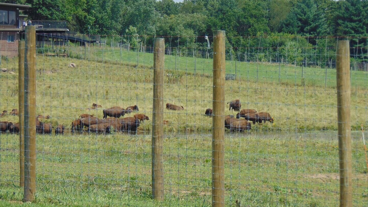 Photo of Others in Orange Prairie