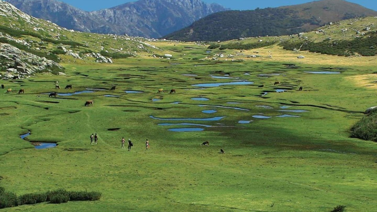 Photo of Others in Pietroso