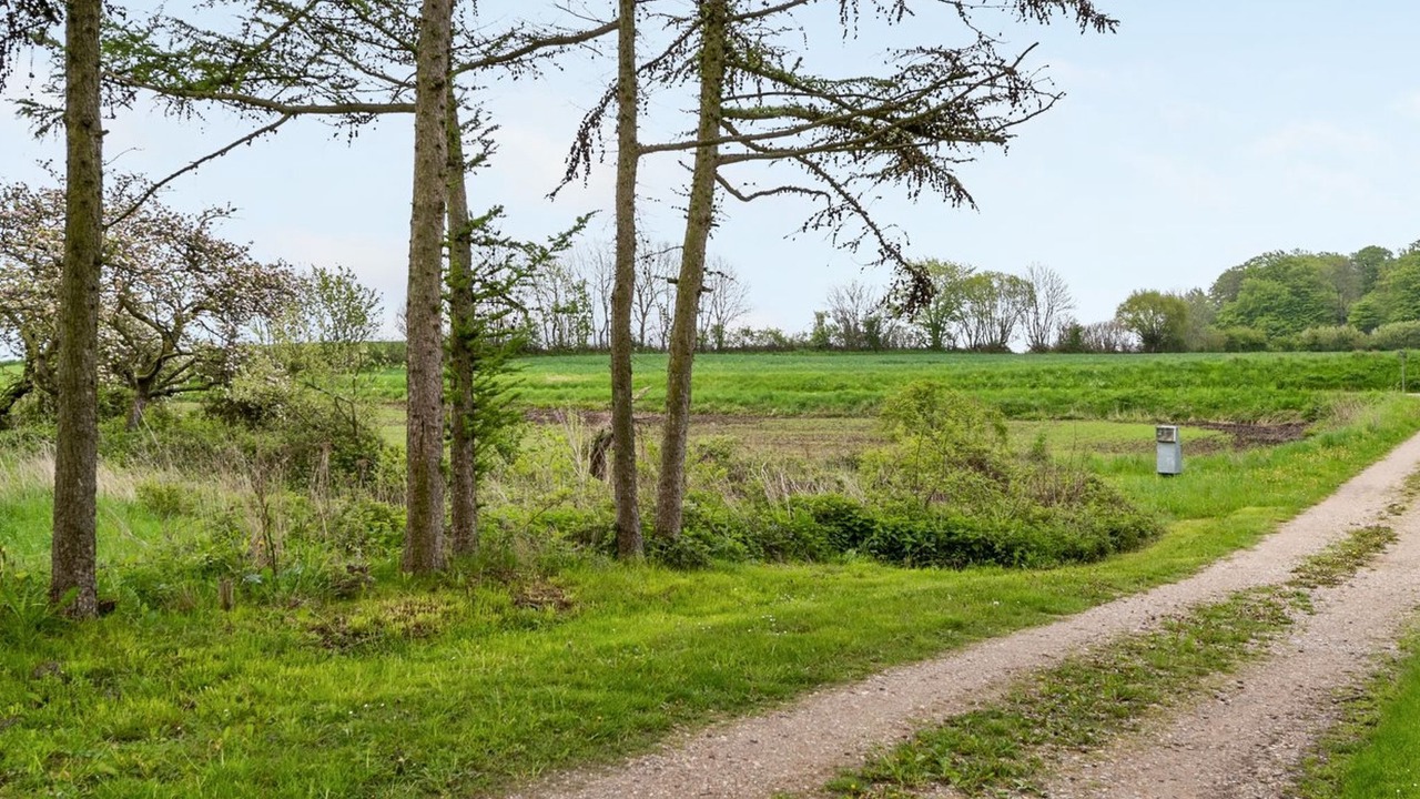 Photo of Outdoor in Kettingskov