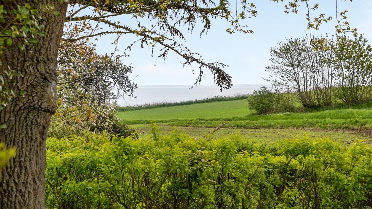 Photo of Outdoor in Kettingskov