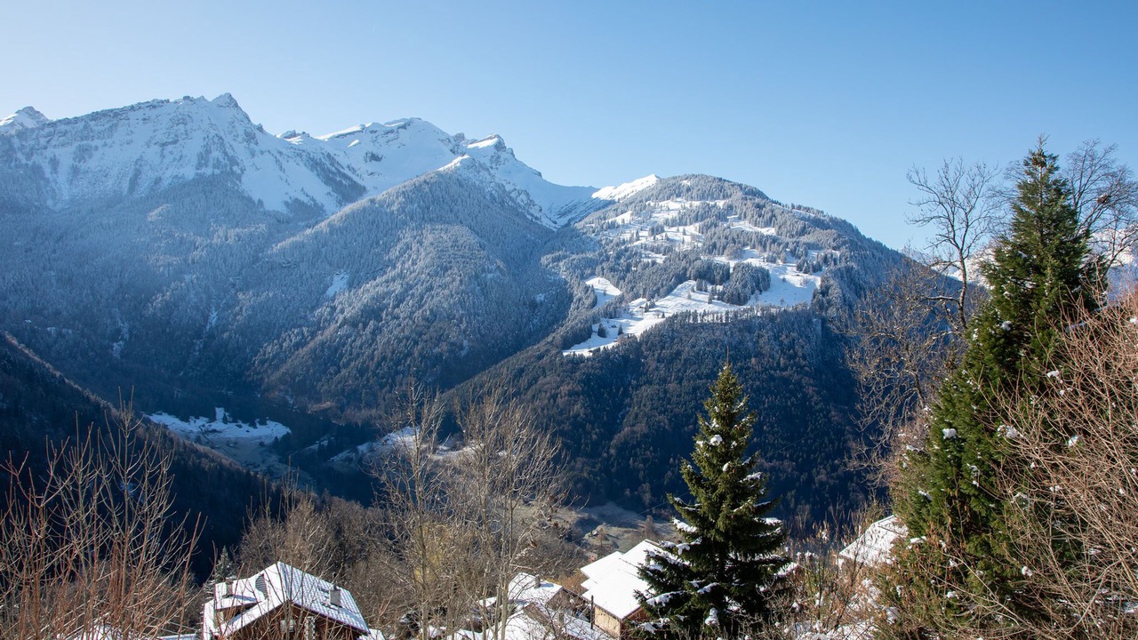 Photo of Others in Les Posses-sur-Bex