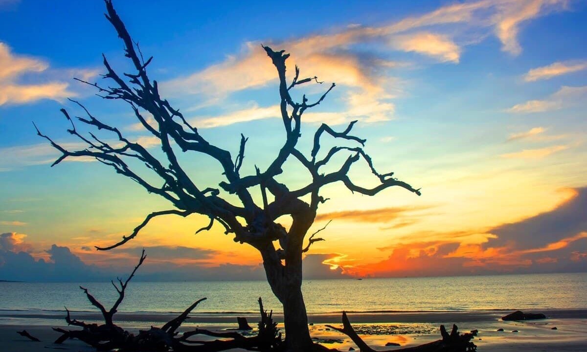 Photo of Others in Jekyll Island