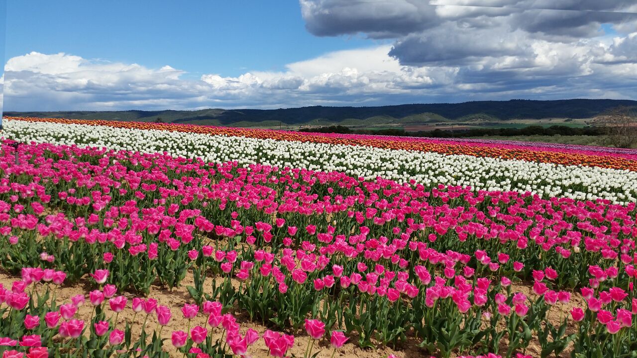 Photo of Outdoor in Oraison