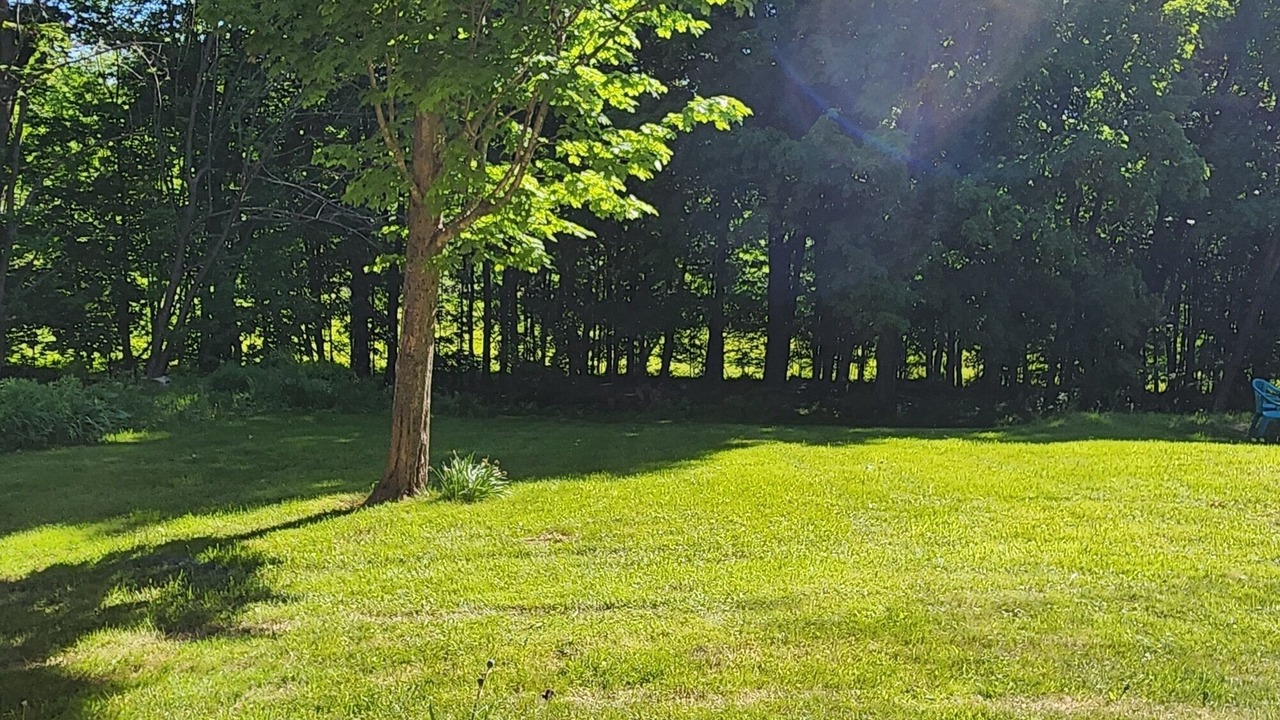 Photo of Others in Limerick