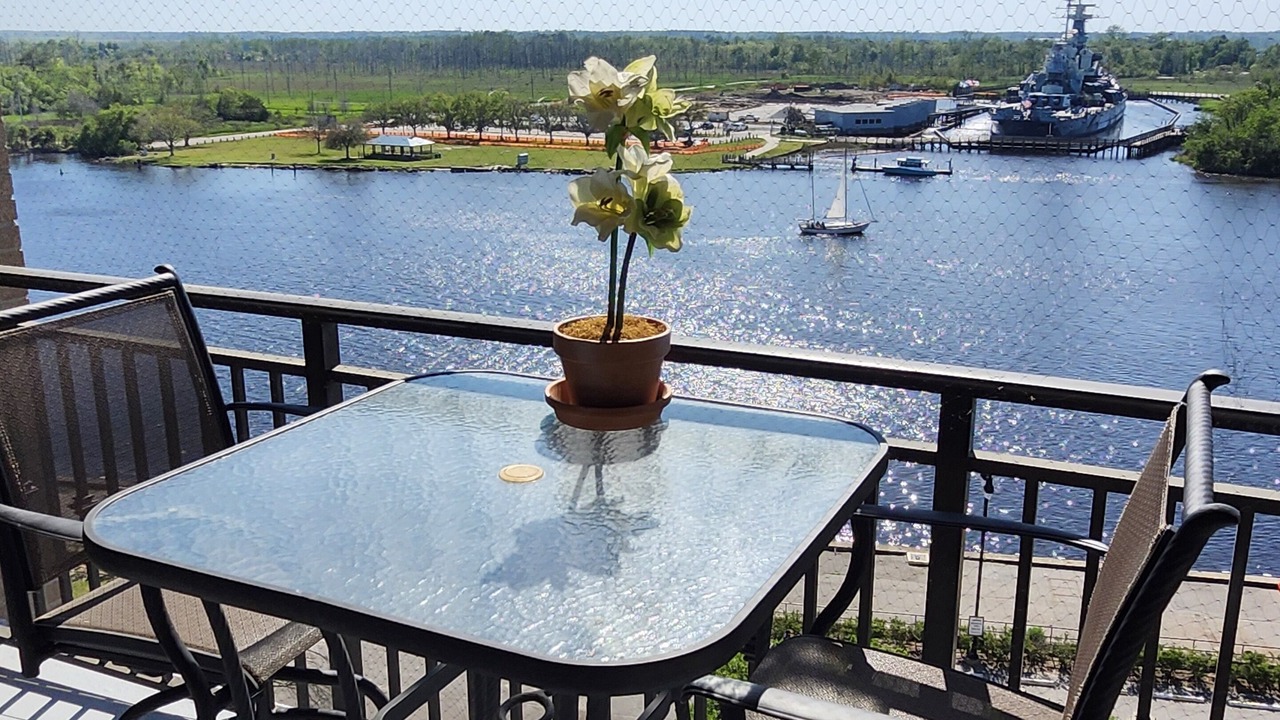 Photo of Outdoor in Downtown Wilmington