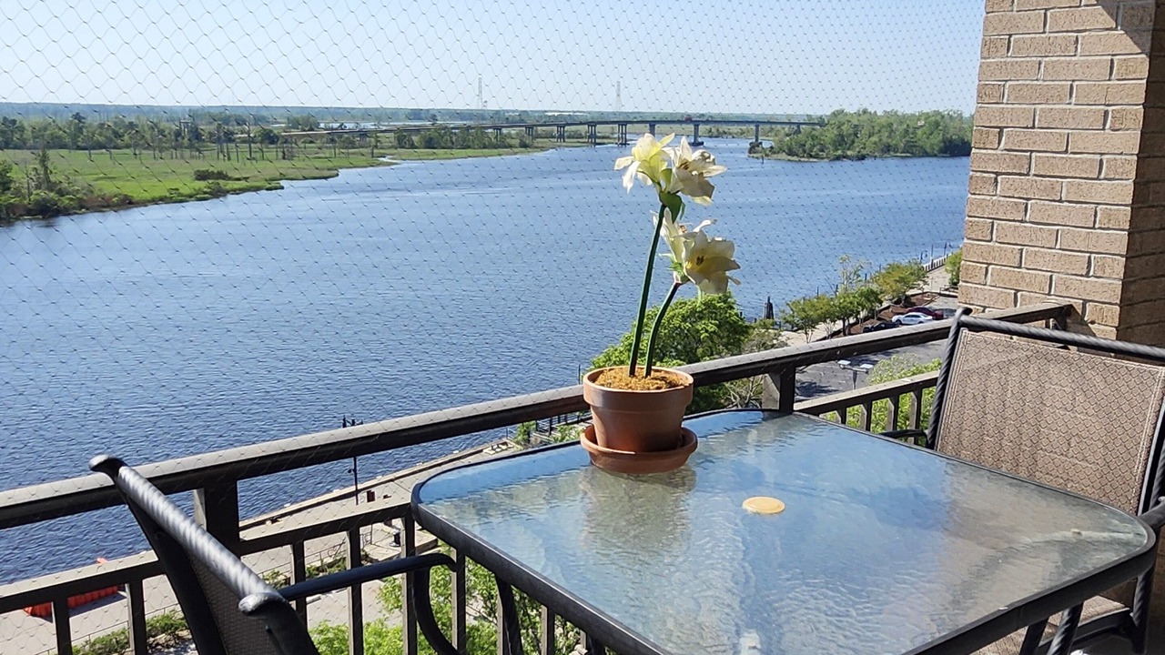 Photo of Outdoor in Downtown Wilmington