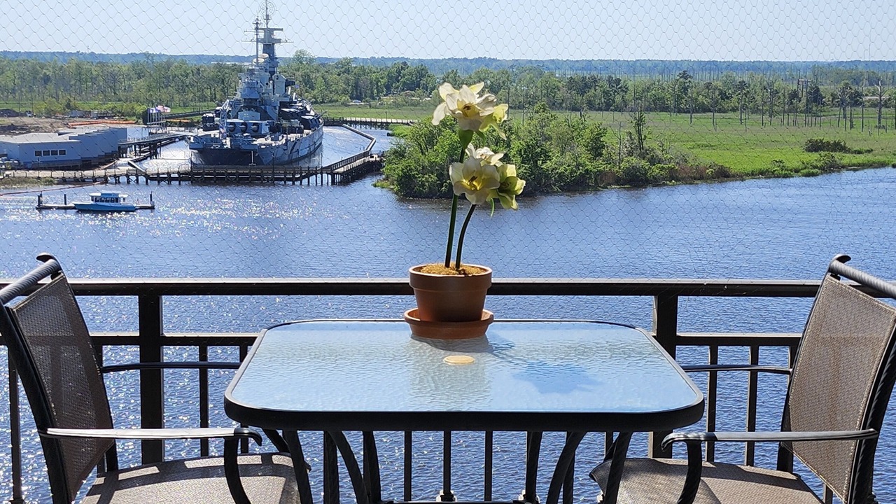 Photo of Outdoor in Downtown Wilmington