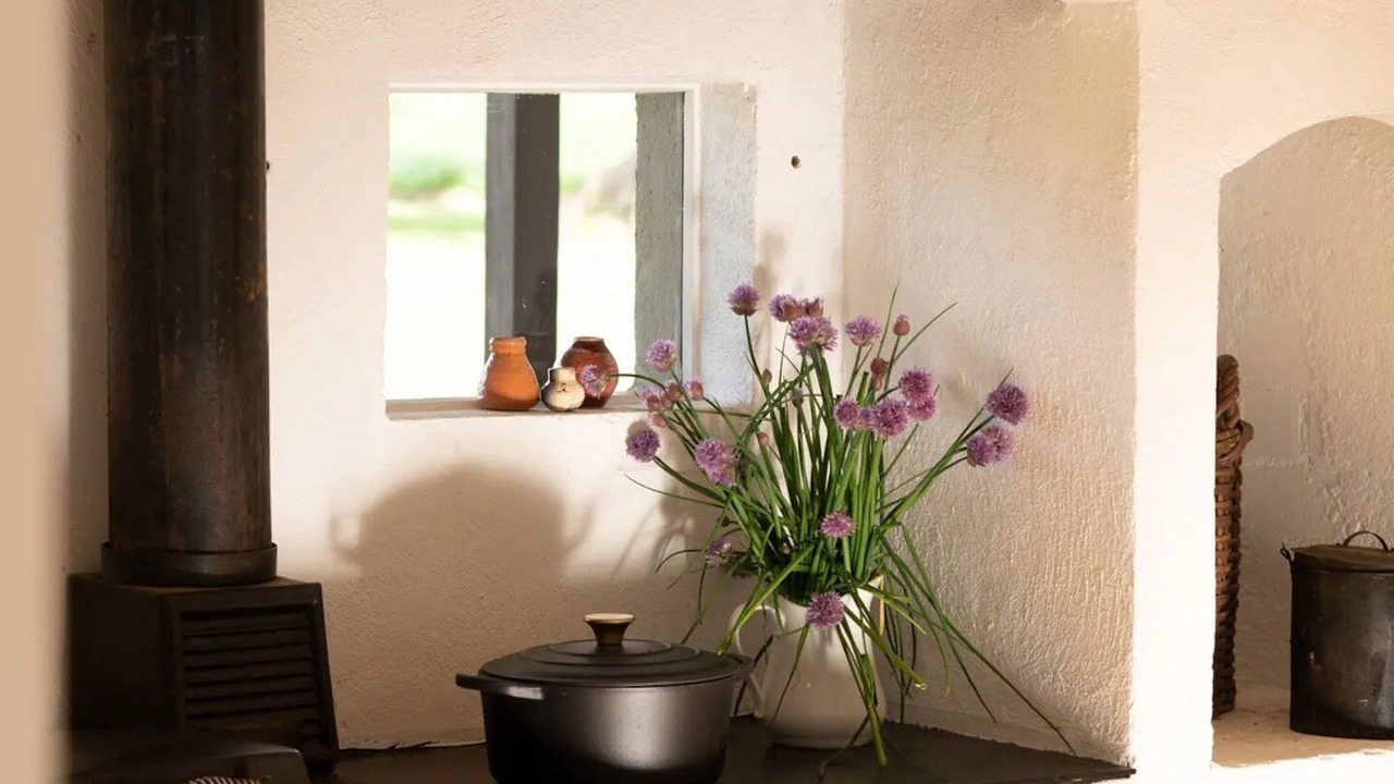 Photo of Others in Barwite