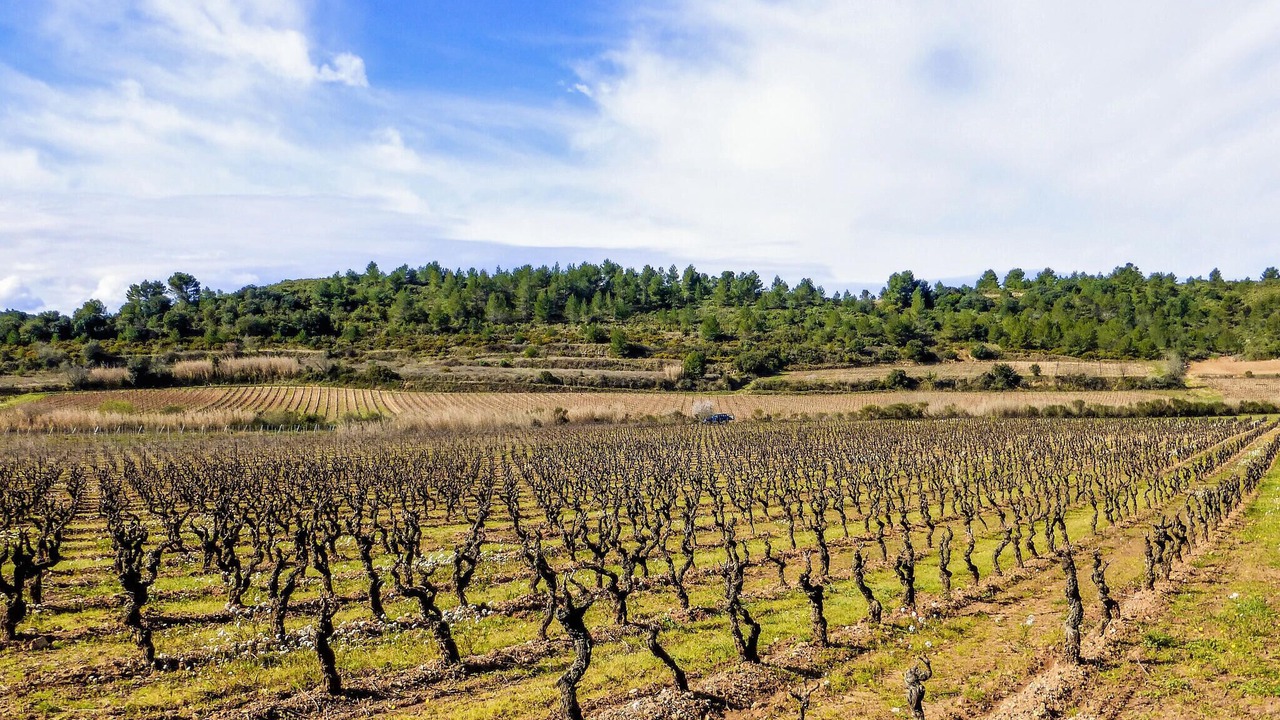 Photo of Others in Saint-Laurent-de-la-Cabrerisse
