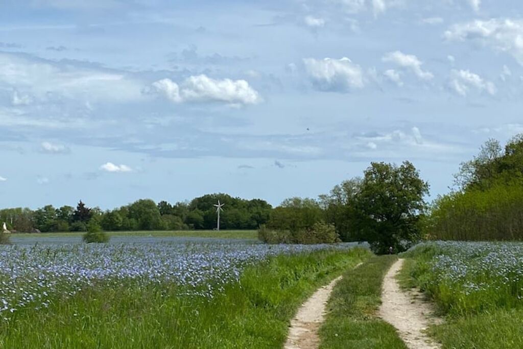 Photo of Others in Civray-de-Touraine