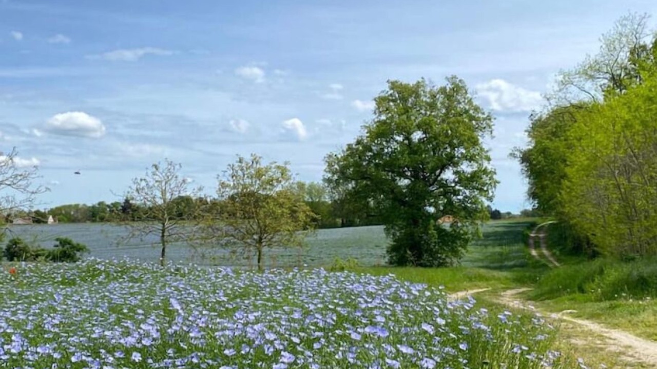Photo of Others in Civray-de-Touraine