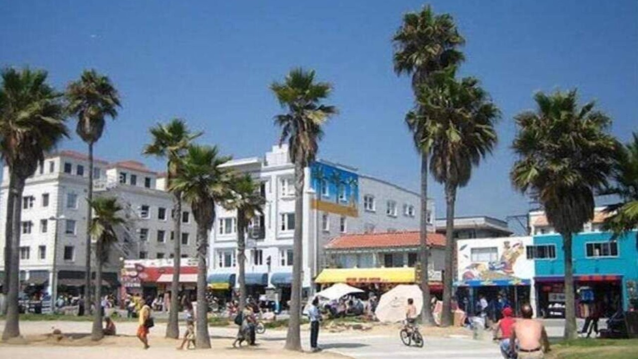 Photo of Others in Del Rey