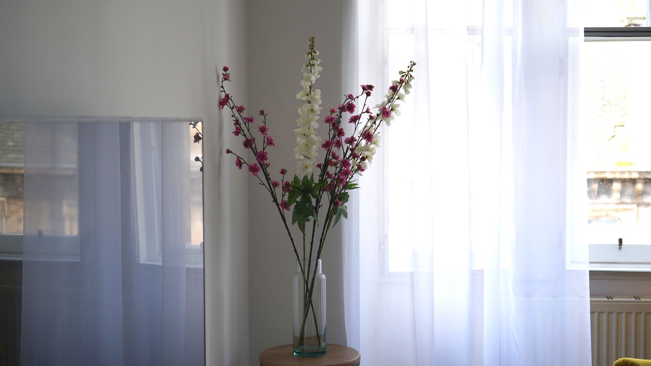 Photo of Others in Falkirk