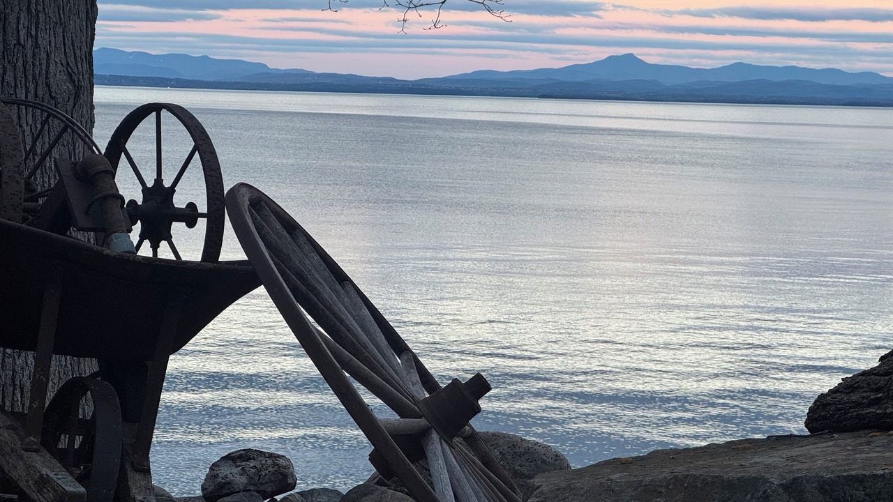 Photo of Others in Port Douglass