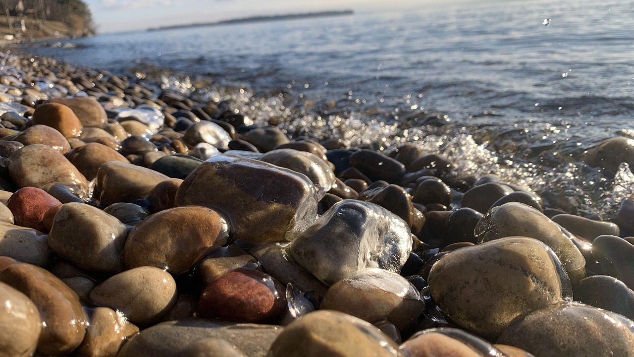 Photo of Others in Port Douglass