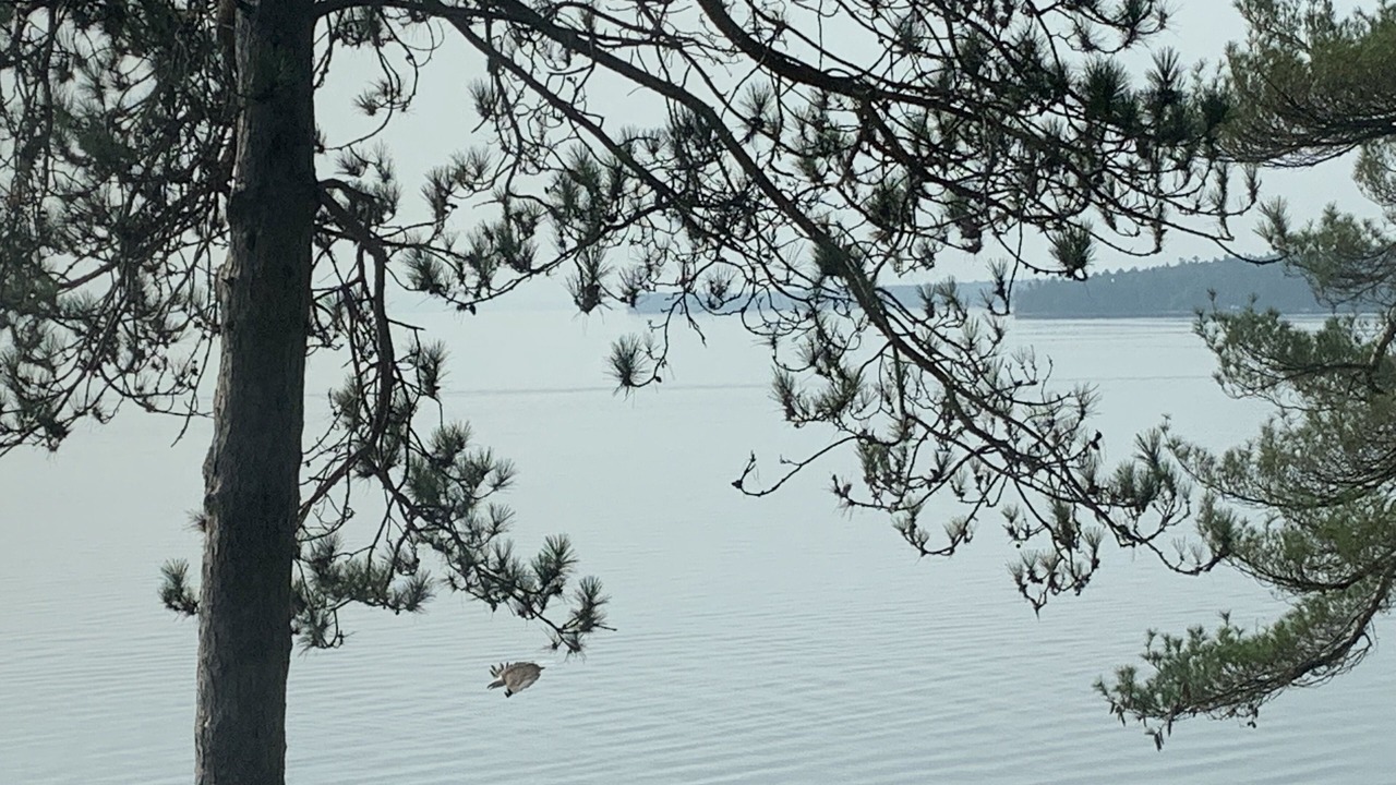 Photo of Outdoor in Port Douglass