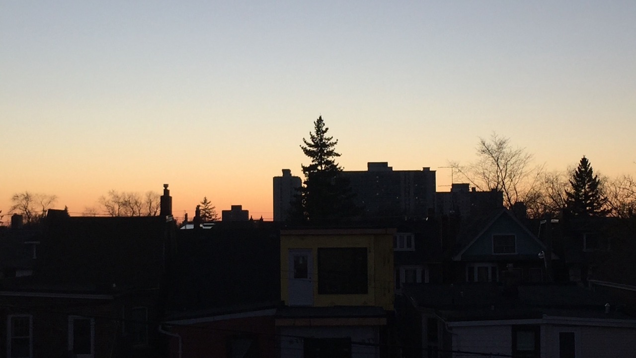 Photo of Outdoor in Palmerston - Little Italy