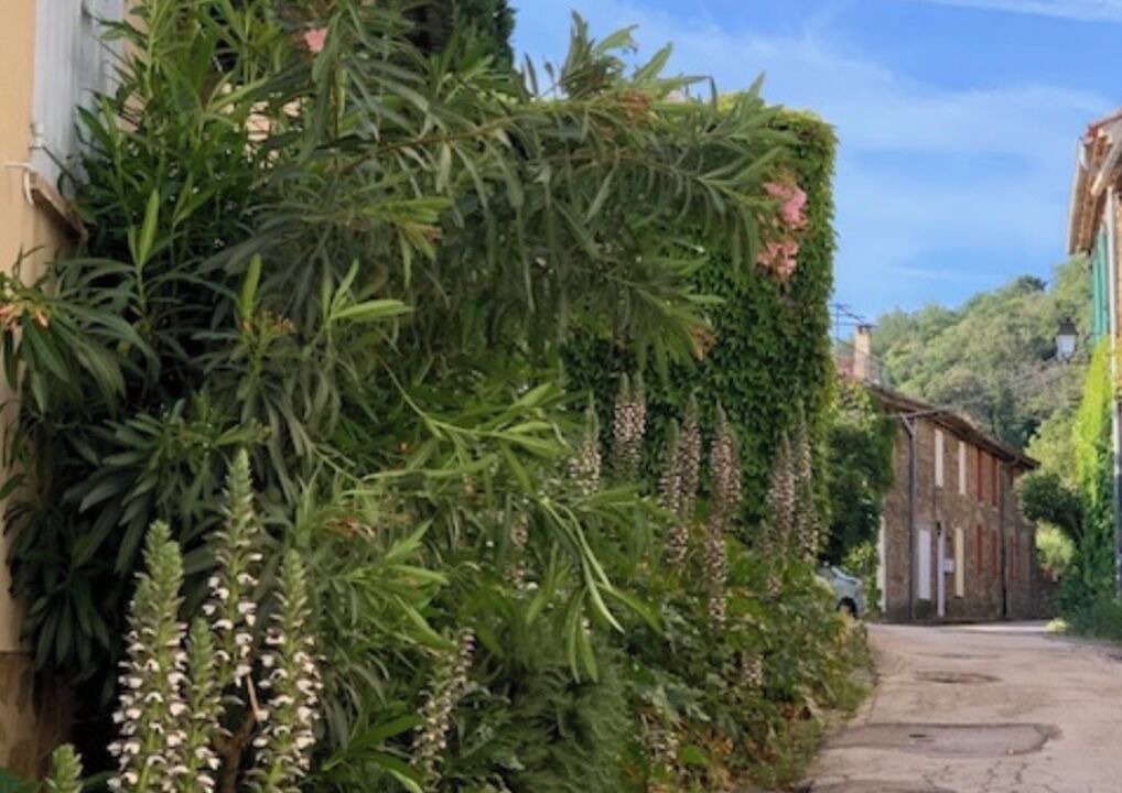 Photo of Outdoor in La Garde-Freinet