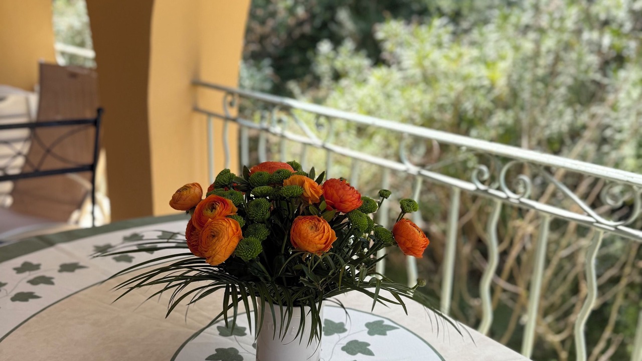 Photo of Outdoor in La Garde-Freinet