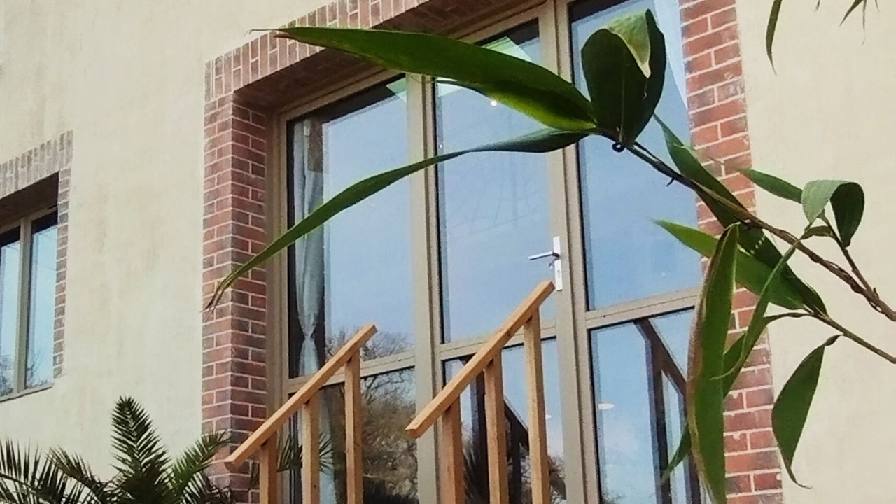 Photo of Outdoor in Lege