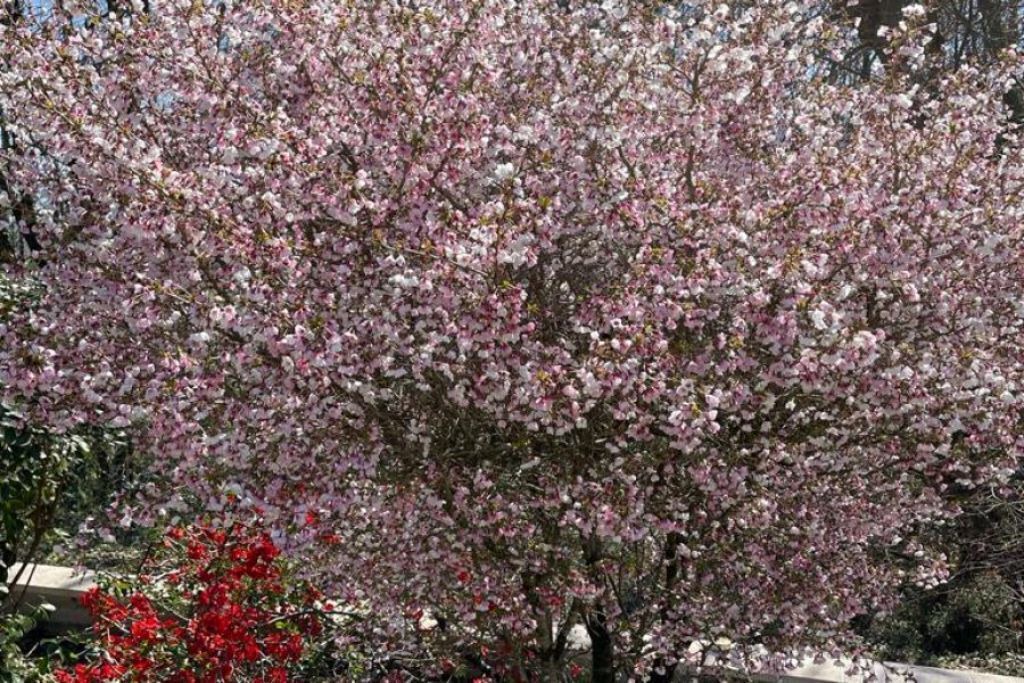 Photo of Outdoor in Coarraze