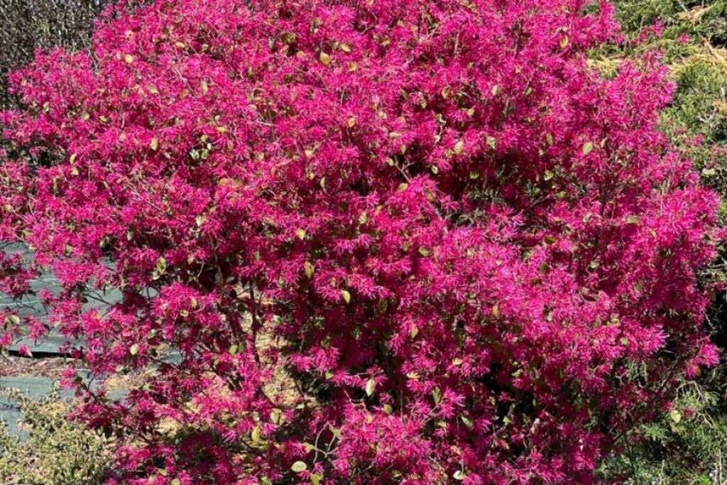 Photo of Outdoor in Coarraze