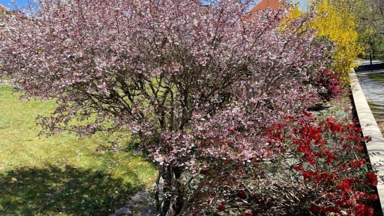 Photo of Outdoor in Coarraze