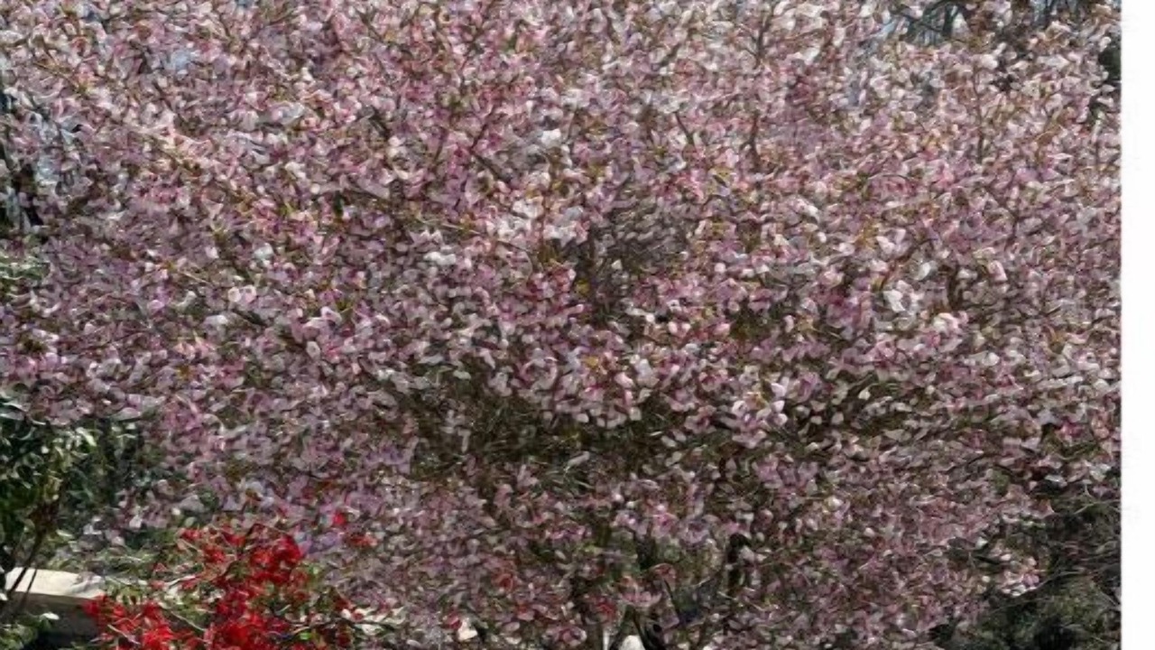 Photo of Others in Coarraze