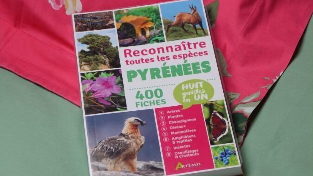 Photo of Others in Coarraze