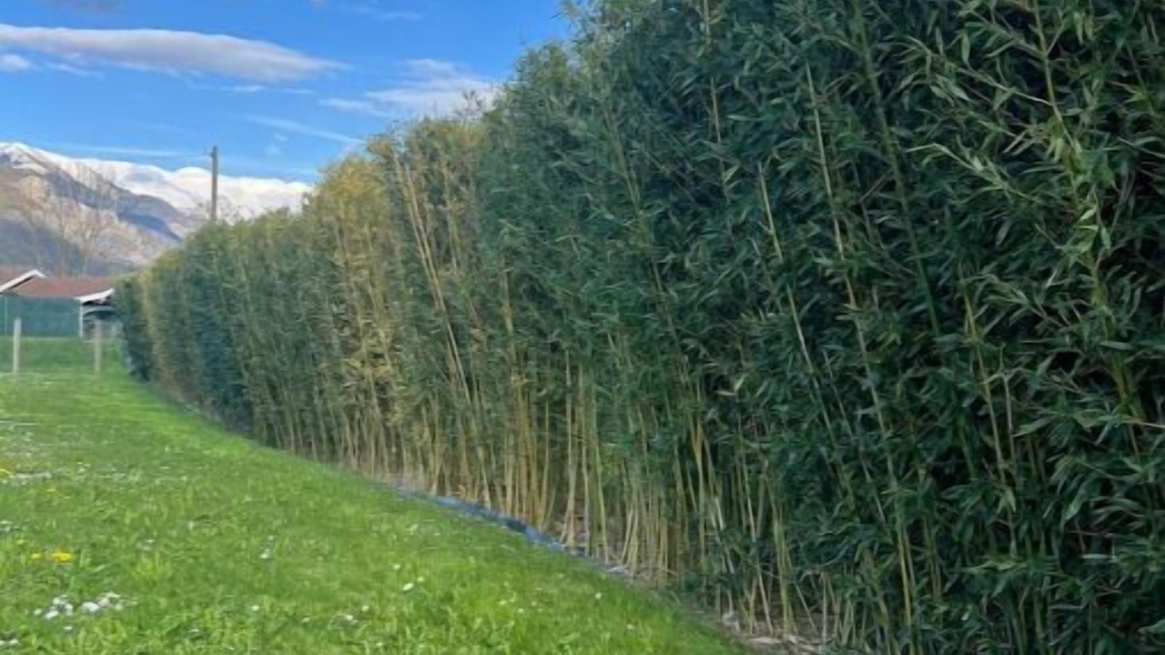 Photo of Bedroom in Arenthon