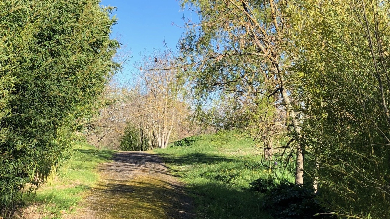 Photo of Outdoor in Montpezat