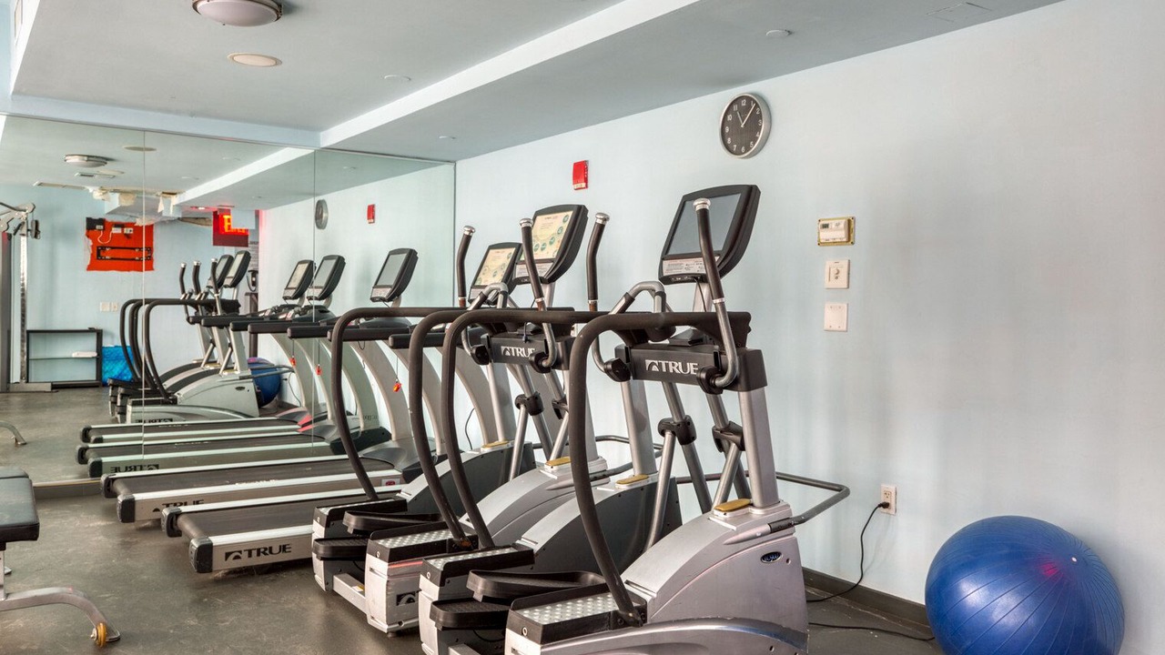 Photo of Others in Central New York City